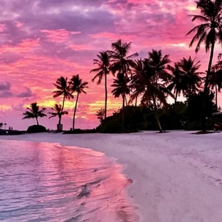 Знакомства Мурманск Девушки Баличат Анапа