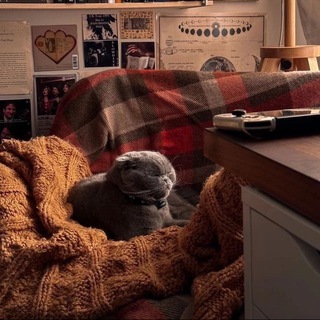 Знакомства Васильевский остров Девушки