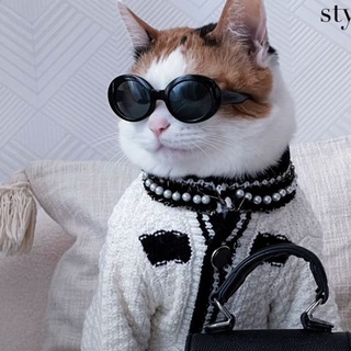 Знакомства Щукино Девушки