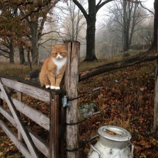 Знакомства Ногинск Девушки